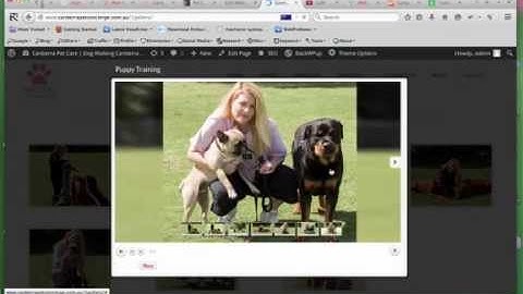 Wordpress Portfolio Plugin Tutorial for Fancy Gallery