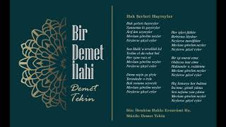 Demet Tekin - Hak Şerleri Hayreyler - (Bir Demet İlahi) Resimi