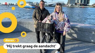 Pratende hond Sunny uit Amsterdam gaat viral