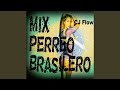 Mix Perreo Brasileño