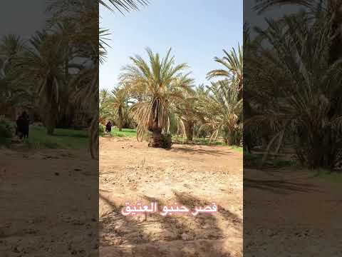 جمال القصور المغربية الموجودة في نواحي أرفود مرزوكه