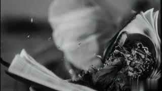 Alee - SÃO PAULO ft. Klisman(Visualizar)