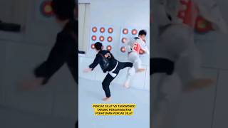 Silat Vs Taekwondo Peraturan Pencak Silat 2