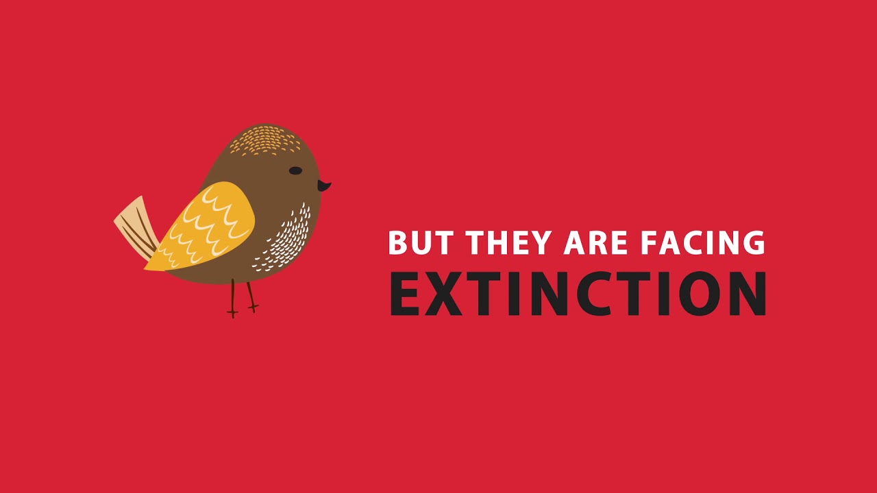 Sparrows are facing extinction