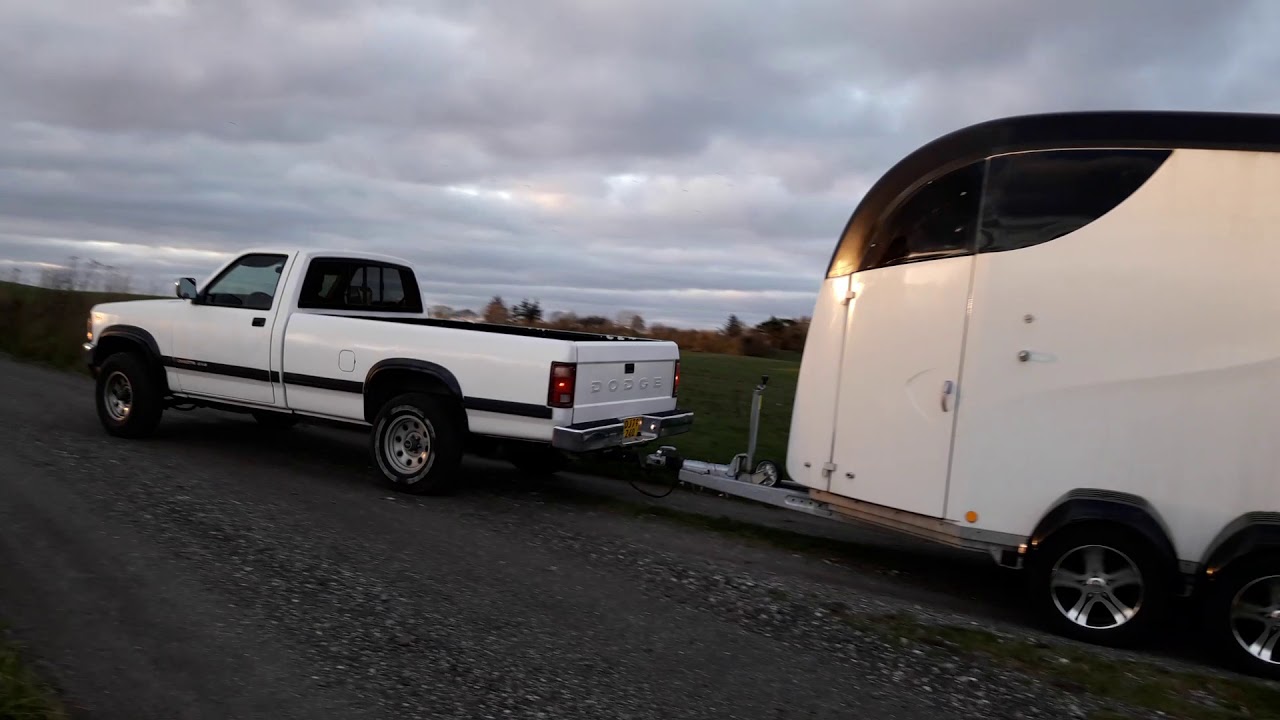 Dakota med Hestetrailer