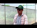 Commercial Greenhouse, Hydroponics and Drip Irrigation for Productivity