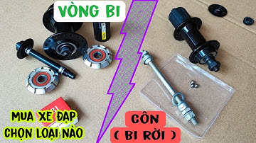 Mua xe đạp chọn loại chạy bằng CÔN ( bi rời ) hay VÒNG BI | Đánh giá ưu nhược điểm