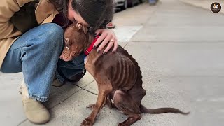 Elle n'avait jamais connu l'amour, elle a pleuré dès qu'elle s'est blottie contre moi.