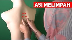 Cara Alami Agar Asi Lancar, Banyak Dan Melimpah | Tips memperbanyak ASI - Durasi: 4.40. 