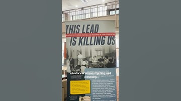 This Lead is Killing Us - Exhibit #shorts