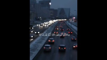 {قل للمؤمنين يغضوا من أبصارهم }❤💕🌷تلاوة خاشعة 💙Qur'an Kareem