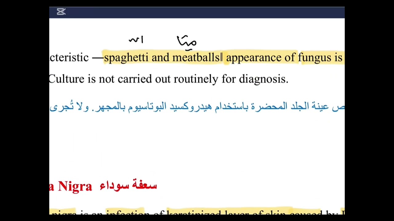 شرح فطريات محاضره 4