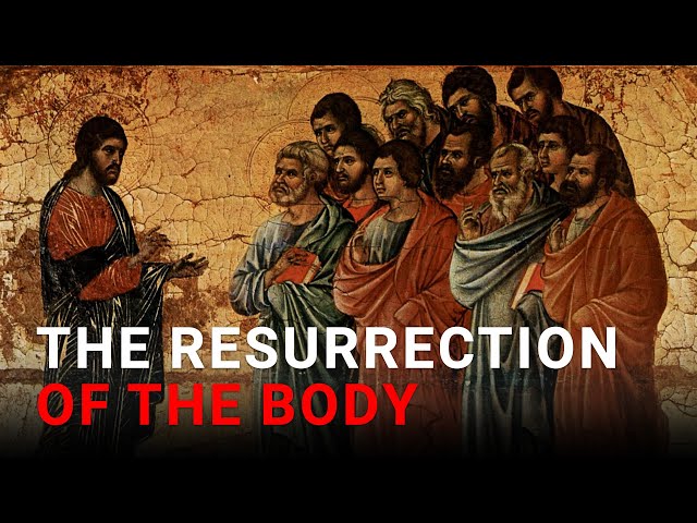 Daily IVE Homilies, April 14 2024 - The Resurrection Of The Body