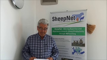 Irish testimony, Solution number 47. Evaluating colostrum quality - John Curley