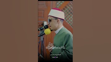 تلاوة خاشعة بصوت محمد أحمد حسن تأخذك إلى عالم من السكينة وتملأ قلبك بالطمأنينة 🌿🤍📖