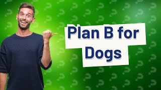 Is there Plan B for dogs?
