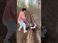 #Multi-PurposeMachine #HighSpeed #TrenchingAndHillingMachine #WholesalePrice #mini #tiller #shorts