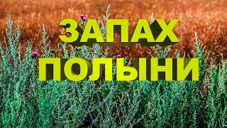 "ЗАПАХ ПОЛЫНИ". Авторская песня. Видеоклип № 225