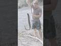 Catching a Freshwater Eel with a Stick Rod 😳