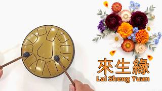 來生緣 Lai Sheng Yuan (劉德華 Andy Lau) - 11 tone steel tongue drum cover