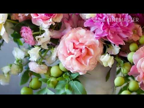 อรุณสวัสดิ์วันอังคาร "สายลม…แห่งรัก"(Ost.กี่เพ้า)