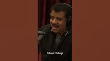 This Bird Solved a Physics Problem Humans Learn in School #shorts #science