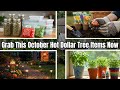 10 Things You SHOULD Be Buying at Dollar Tree in October 2025
