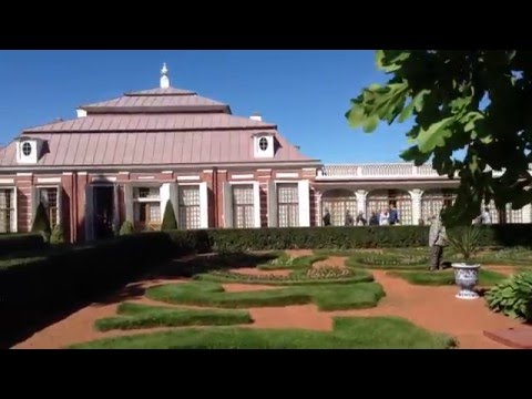 Самый древний дуб России.