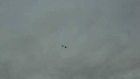 Firebird Phantom RC Airplane Crash