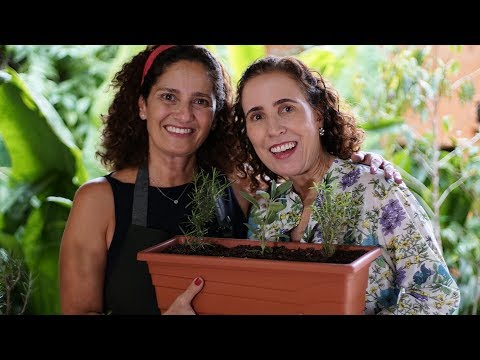 Vídeo: Ervas e especiarias russas: aprenda a cultivar ervas russas no jardim