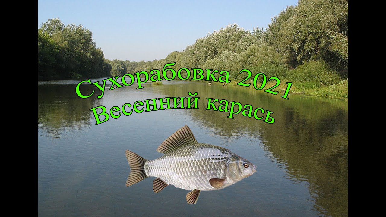 Сухорабовка 2021 Весенний карась