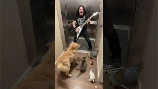 When the Elevator Opens…It’s a Death-Metal Guitarist! Animals Go Wild,エレベーターが開いた瞬間、デスメタルギタリスト登場！