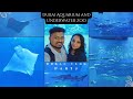 Dubai aquarium and underwater zoo  largest indoor aquarium tank in the world  dubai mall 