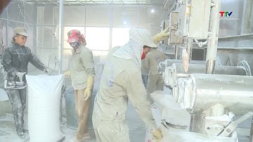 Xuất khẩu sắn vượt 1 tỷ USD nhưng thiếu tính bền vững | NSTH