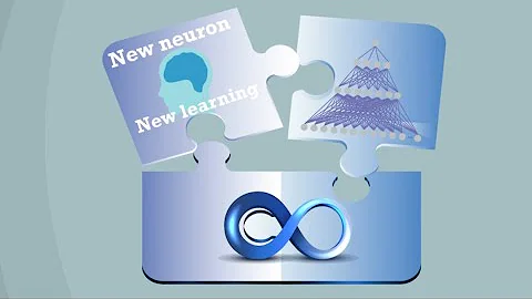 Dendritic learning as an alternative to synaptic plasticity - continue