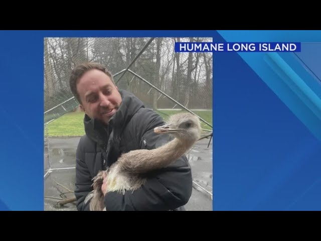 Man Allegedly Hoarded 100 Wild Animals In His Long Island Home Officials