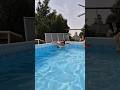 Beat the Heat #swimming