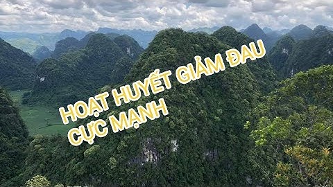 cây thuốc hoạt huyết cực mạnh - tốt cho tim mạch và xương khớp