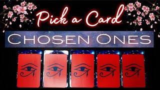 You were CHOSEN! Why the universe picked you &amp; what you’re being asked to do🌺Pick A Card🕊️