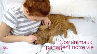 Esthima, Pompes Funèbres Animalières