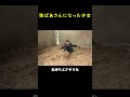 オオカミのおばあちゃんになった少女！🐺