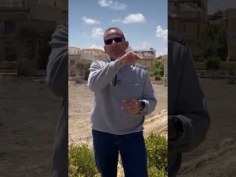 اللوتس  زهرة الساحل الشمالى فى الشتاء