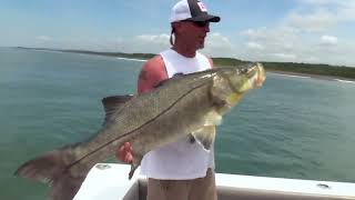 World Record Snook