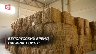 картинка: Вы удивитесь, что в Беларуси делают со льном! В Ляховичах возродили уникальную технологию!