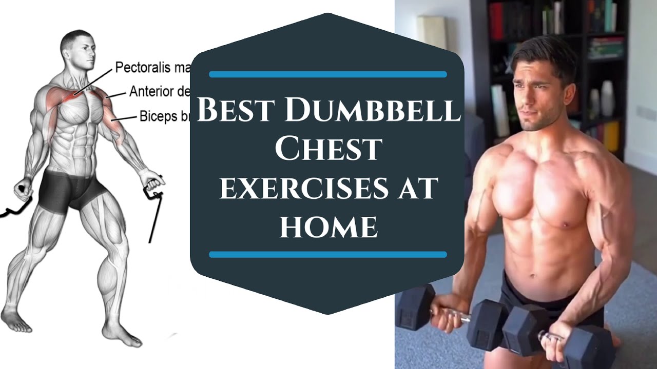 6 Day Chest Workouts With Dumbbells Standing for Gym