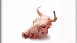 Голова, щеки язык ( разделка говядины ). meat cutting, meat, butcher, 肉,切肉,屠夫,猪肉,牛肉,羊肉,鸡,係食物呀! Голова, щеки язык ( разделка говядины ). meat cutting, meat, butcher, 肉,切肉,屠夫,猪肉,牛肉,羊肉,鸡,係食物呀!