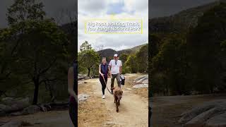 The Best Dog-Friendly Walks And Hikes In Victoria