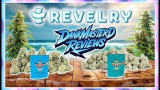 🍊 Zitrus-Smoothie & 🍇 Wham Berries THCA-Test 🔥 | RevelryHemp Blütenanalyse 💨