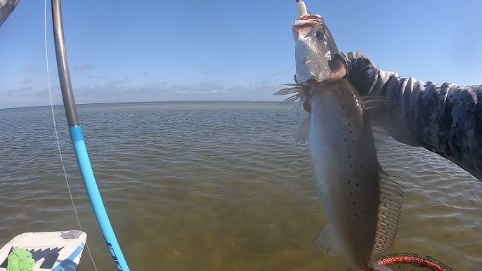 Springer Fishing has been tough but we Landed some keepers. Don't miss the  takedown on fish #2. 