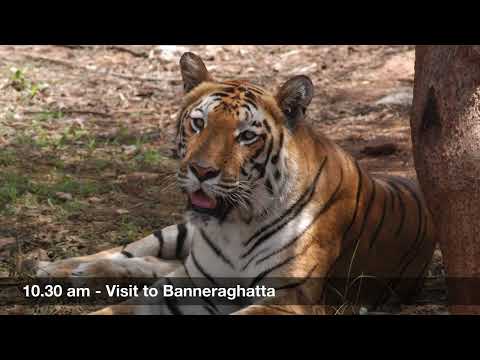 Bangalore Full Day Trip Package From KSTDC